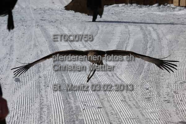 ET0Q0758 prot